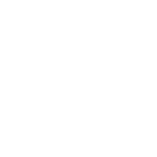 The Perfect Wedding