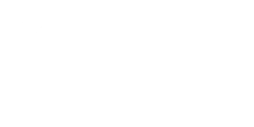 Party Nanny Logo